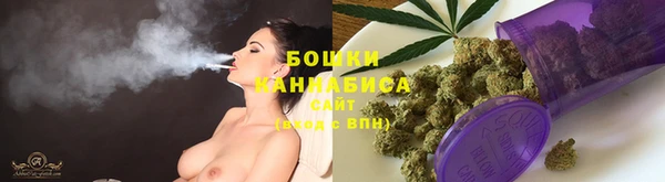 PSILOCYBIN Балахна