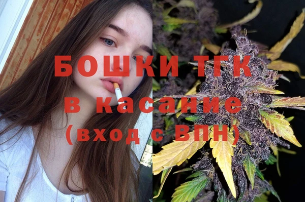 PSILOCYBIN Балахна