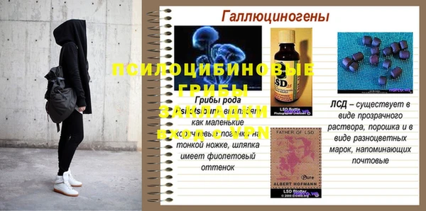 PSILOCYBIN Балахна