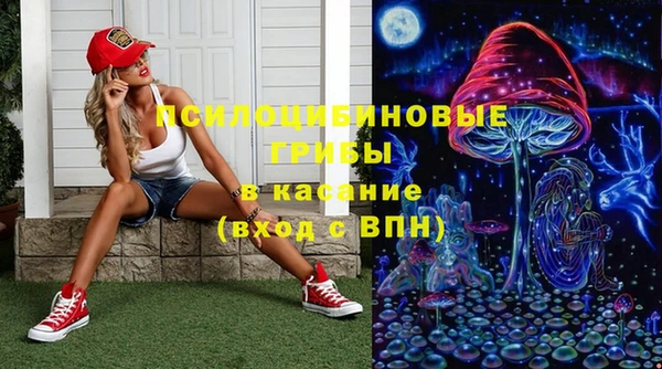 PSILOCYBIN Балахна